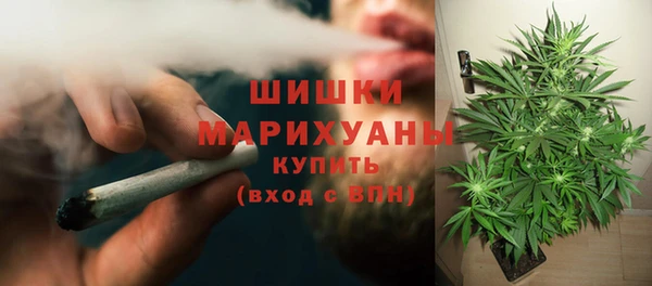 2c-b Ельня
