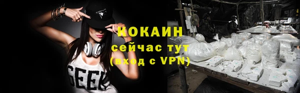 стафф Дмитриев