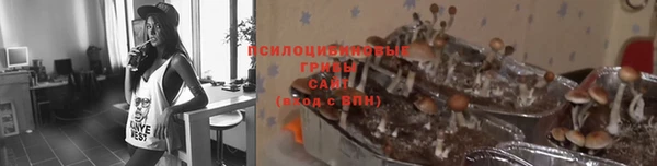 стафф Дмитриев