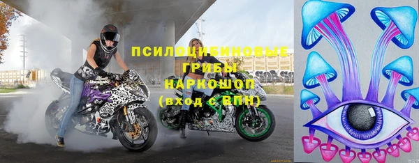 стафф Дмитриев