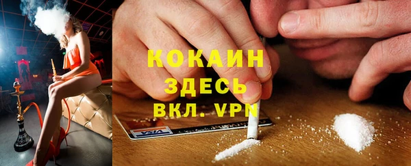 стафф Дмитриев