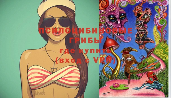 mdpv Дмитровск
