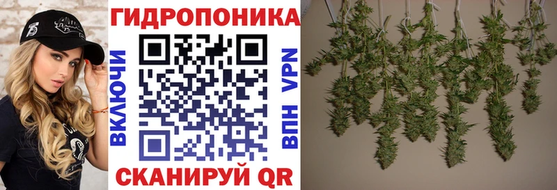 Бошки марихуана SATIVA & INDICA  Купить  Кяхта 